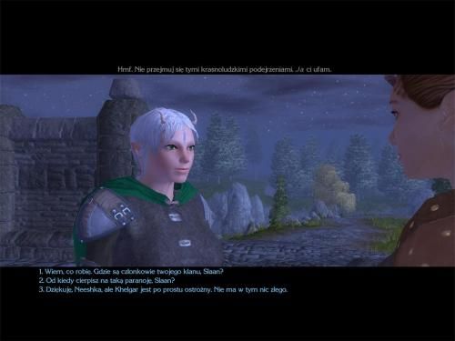 th Screeny z polskie wersji Neverwinter Nights 2 221721,1.jpg